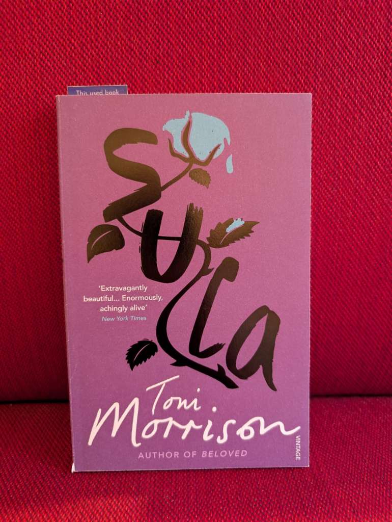 Sula by Toni Morrison (used)