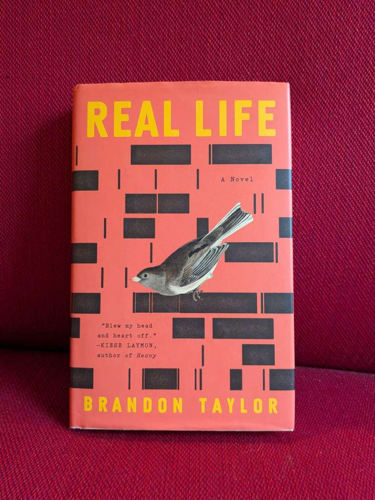 Real Life  by Taylor Brandon