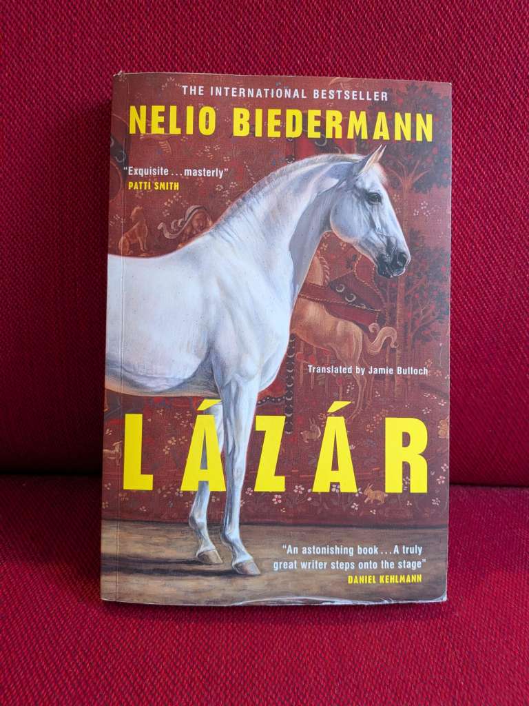 Lazard by Neilo Biedermann