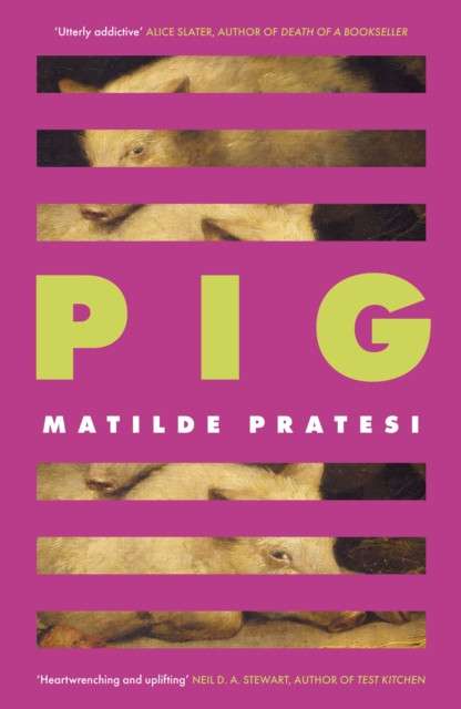 Pig by Matilde Pratesi