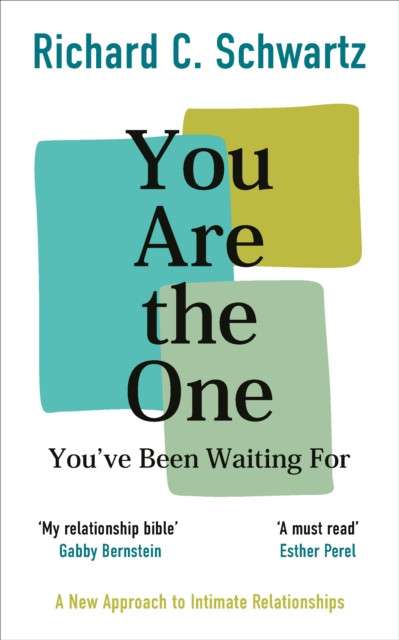 You Are the One You’ve Been Waiting For by Richard Schwartz
